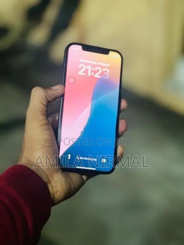 Apple iPhone 12 (Used)
