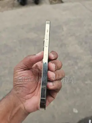 Apple iPhone 12 Pro Max (Used)