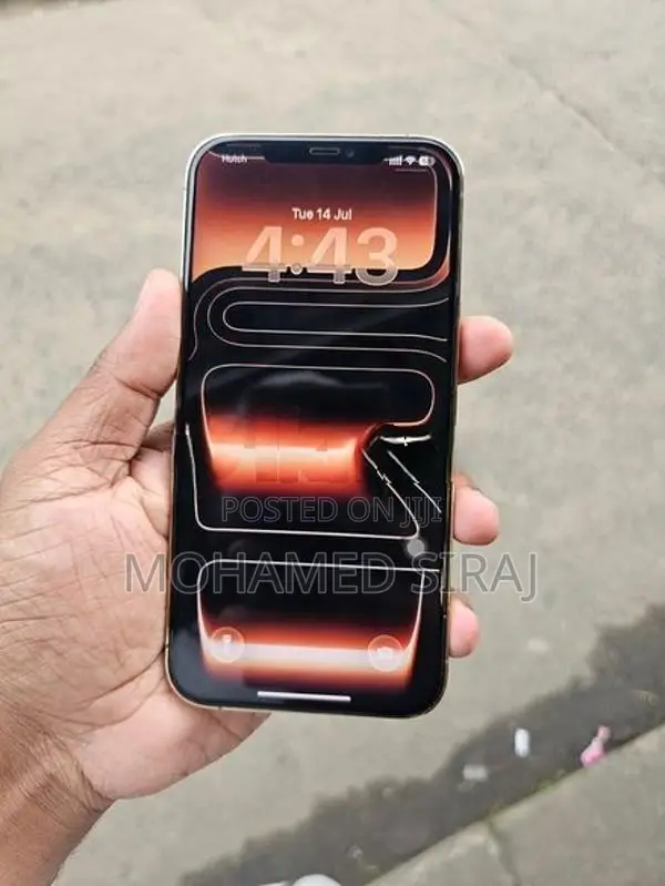 Apple iPhone 12 Pro Max (Used)