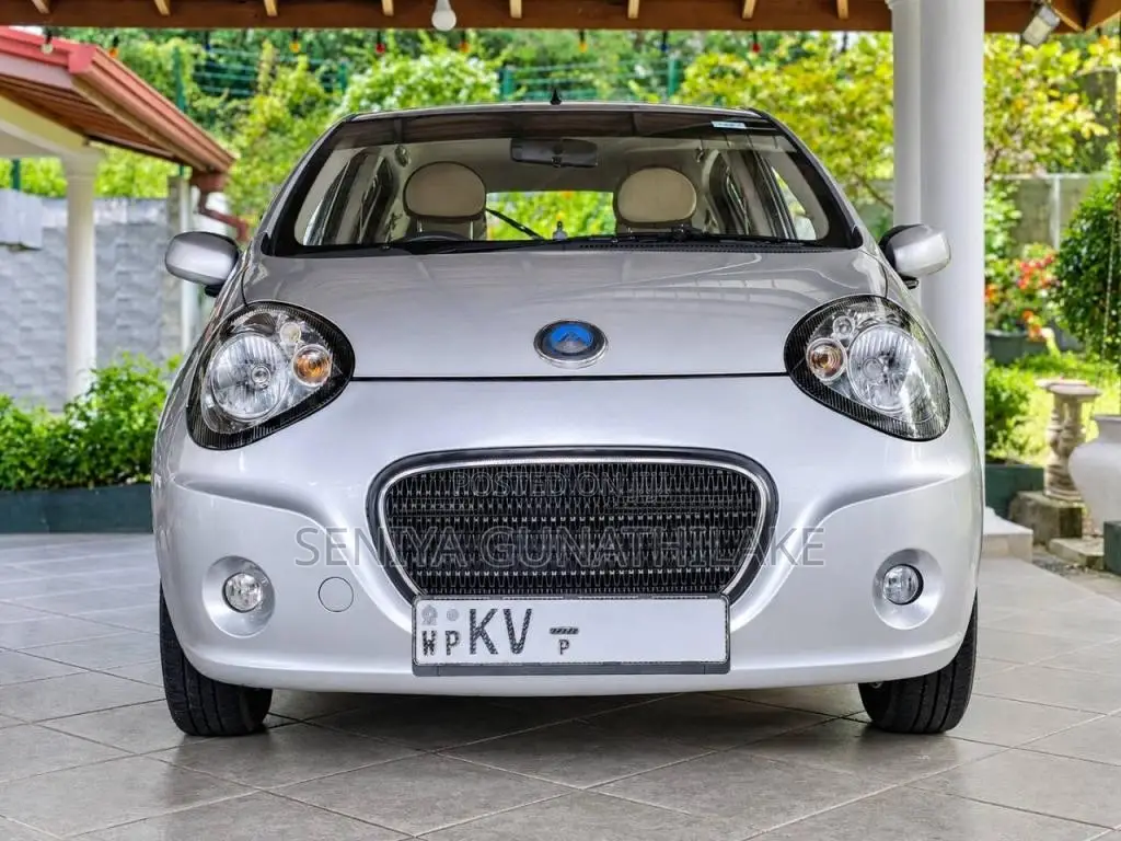 Micro Panda 2013 Car (Used)