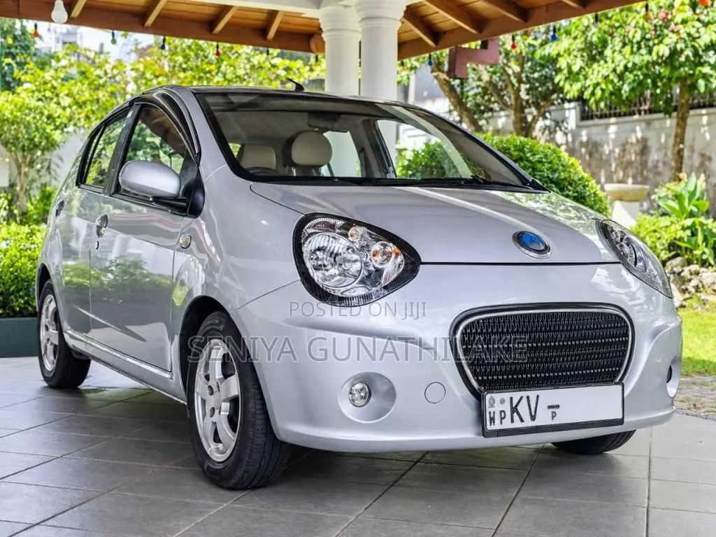Micro Panda 2013 Car (Used)