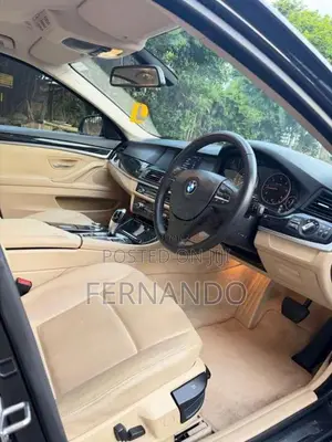 BMW 520D 2012 Car (Used)