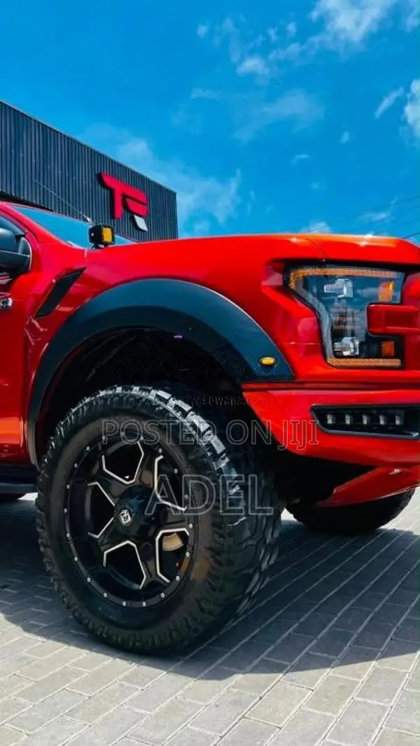 Ford Raptor 2017 Pickup (Used)