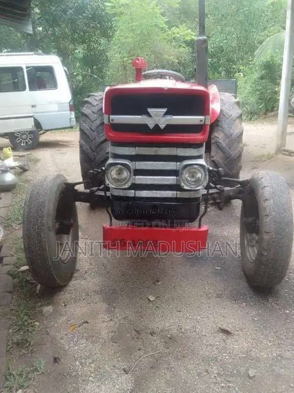 Massey-Ferguson 135 D 1981 Tractor (Used)