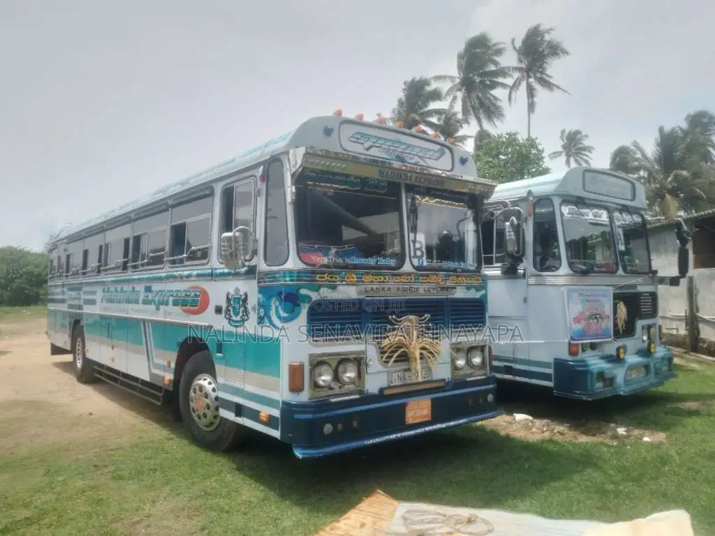 Ashok-Leyland Viking 2011 Bus (Used)