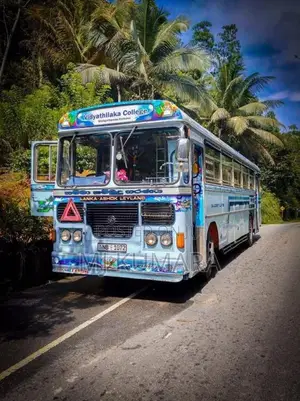 Ashok-Leyland Viking 2011 Bus (Used)