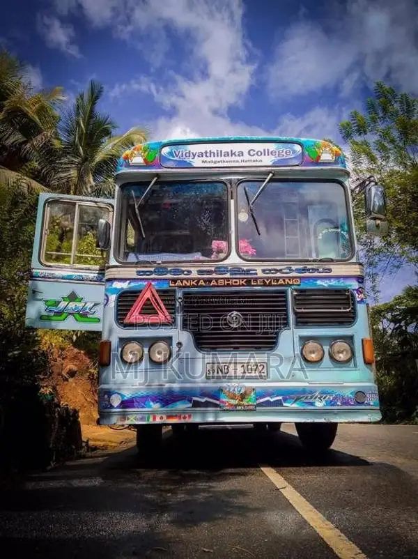 Ashok-Leyland Viking 2011 Bus (Used)