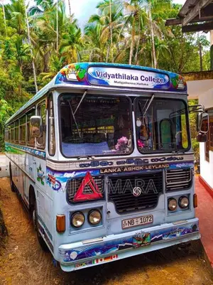 Ashok-Leyland Viking 2011 Bus (Used)