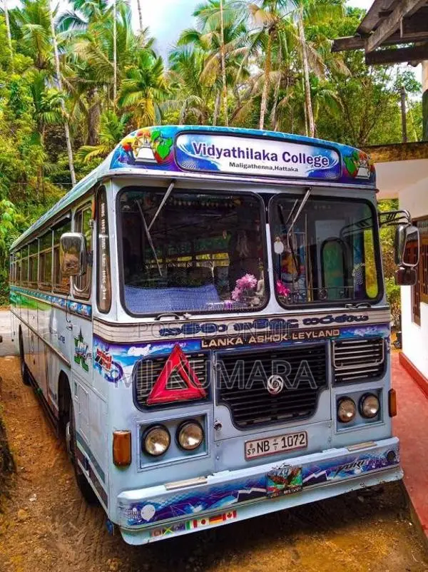 Ashok-Leyland Viking 2011 Bus (Used)