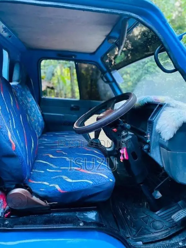Isuzu 250 1987 Lorry (Used)