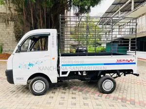 Mahindra Maxximo 2013 Lorry (Used)