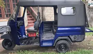 Piaggio Ape 2008 Three Wheel (Used)