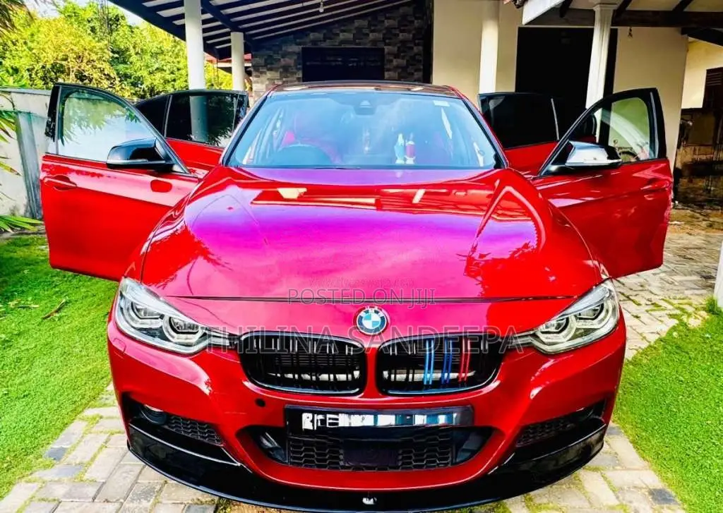 BMW 318i 2017 Car (Used)