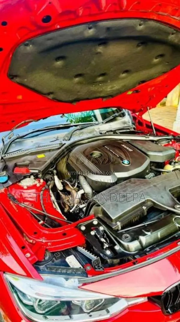 BMW 318i 2017 Car (Used)