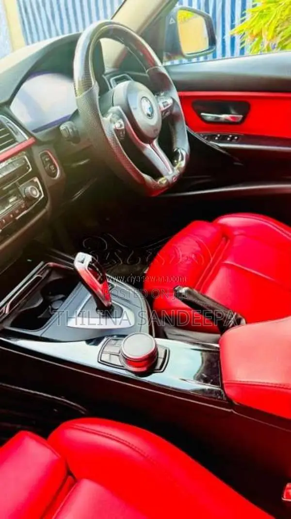 BMW 318i 2017 Car (Used)