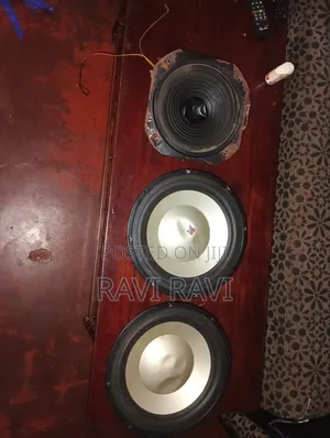 Sub Speaker
