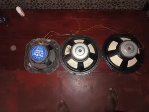 Sub Speaker
