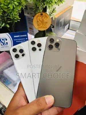 Apple iPhone 12 Pro 256GB (Used)