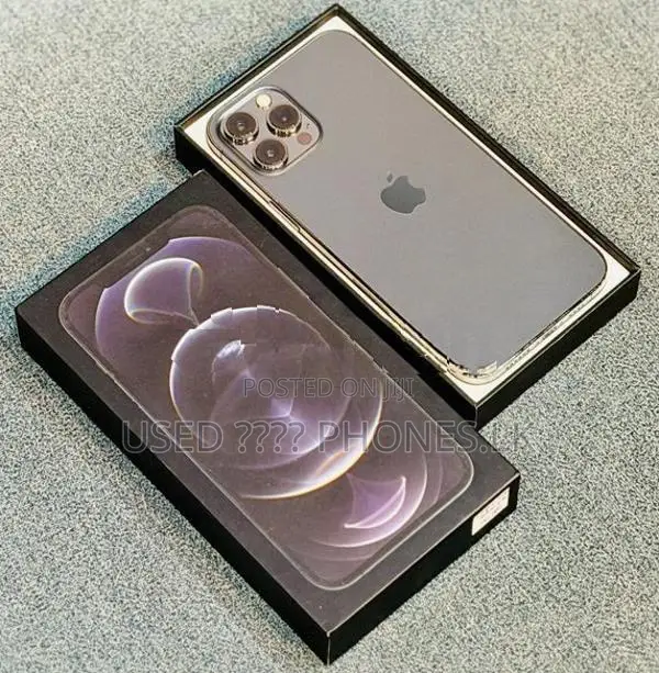 Apple iPhone 12 Pro Max 256GB [91%🔋] (Used)