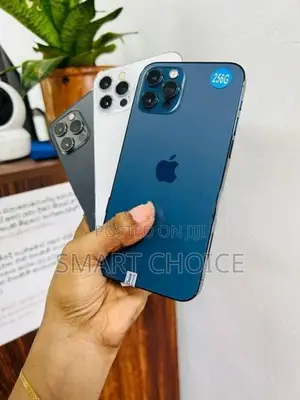 Apple iPhone 12 Pro 256GB 5G (Used)
