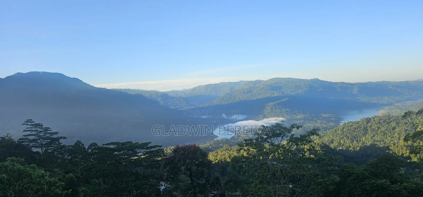 Scenic Land for Sale in NuweraEliya District