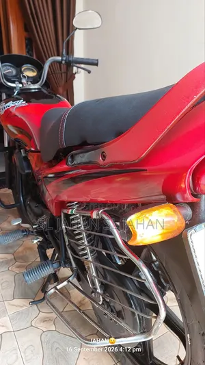 Hero Passion Pro 2012 Red