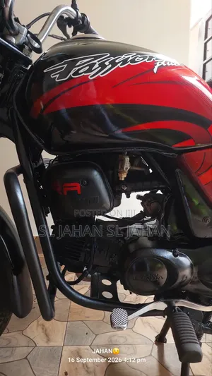 Hero Passion Pro 2012 Red