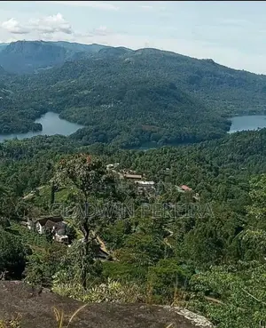 Scenic Land for Sale in NuweraEliya District