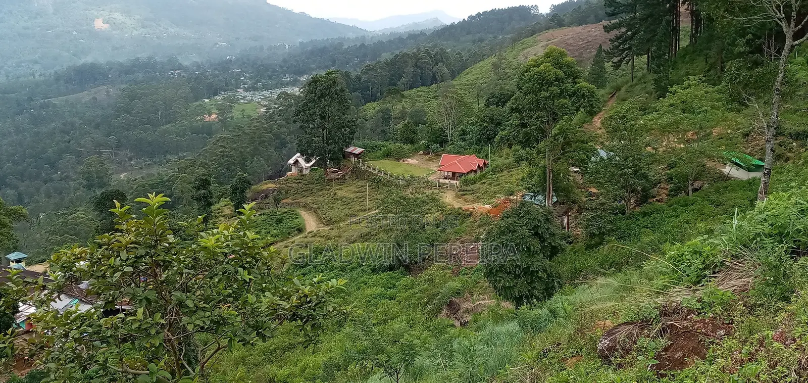 Scenic Land for Sale in NuweraEliya District