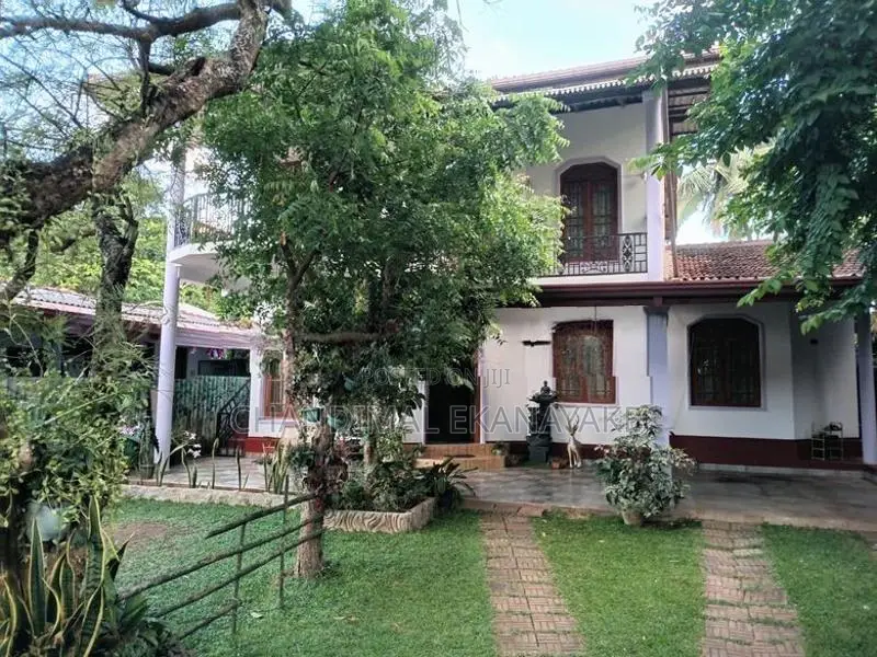 Two-Story House with Commercial Building for Sale - Naula