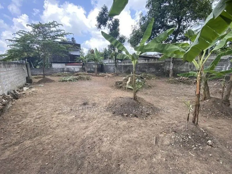 Valuable Land For Sale In Mahara, Kadawatha