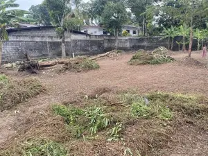 Valuable Land For Sale In Mahara, Kadawatha