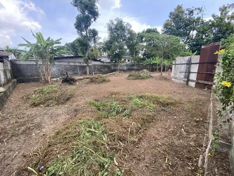 Valuable Land For Sale In Mahara, Kadawatha