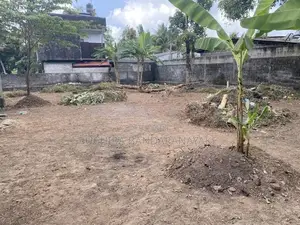 Valuable Land For Sale In Mahara, Kadawatha