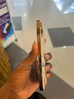 Apple iPhone 12 Pro (Used)