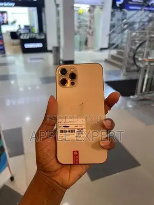 Apple iPhone 12 Pro (Used)