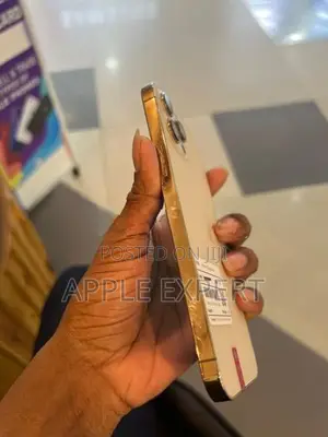 Apple iPhone 12 Pro Max (Used)