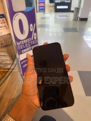 Apple iPhone 12 Pro Max (Used)