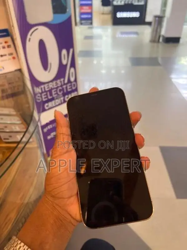 Apple iPhone 12 Pro Max (Used)