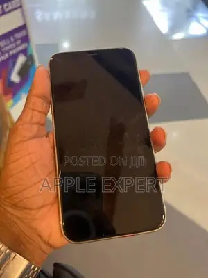 Apple iPhone 11 (Used)