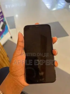 Apple iPhone 11 (Used)