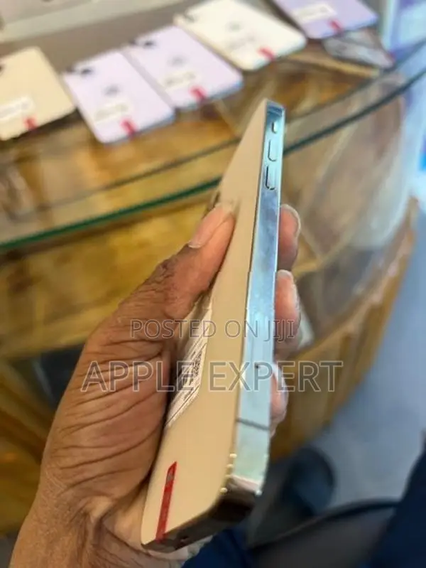 Apple iPhone 12 Pro (Used)