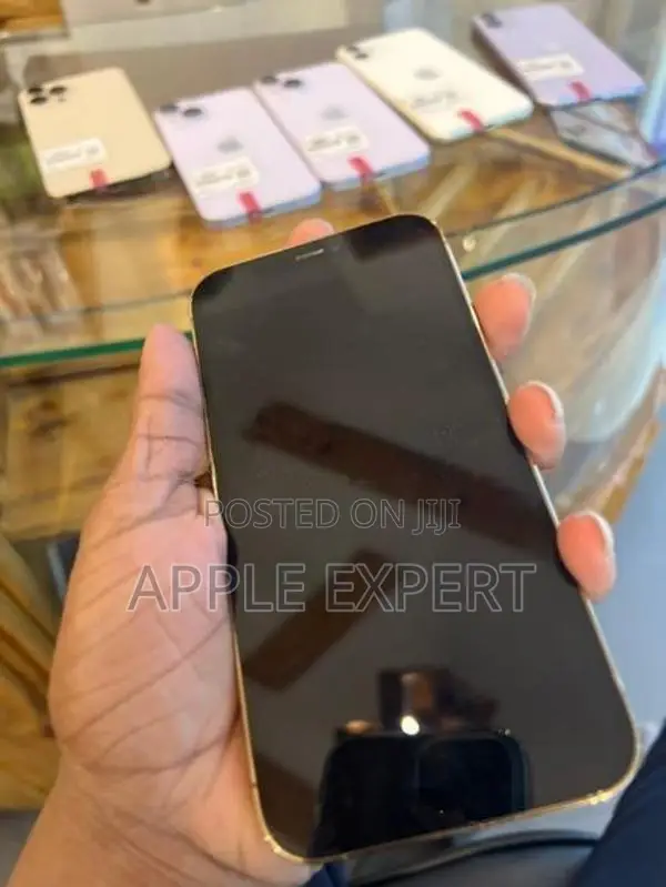 Apple iPhone 12 Pro (Used)