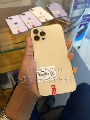 Apple iPhone 12 Pro Max (Used)