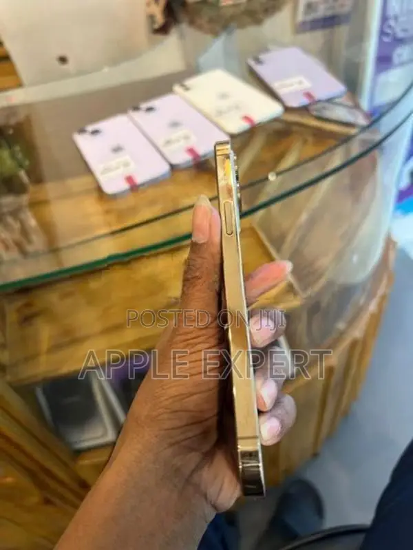 Apple iPhone 12 Pro Max (Used)