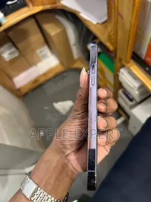Apple iPhone 14 Pro Max (Used)