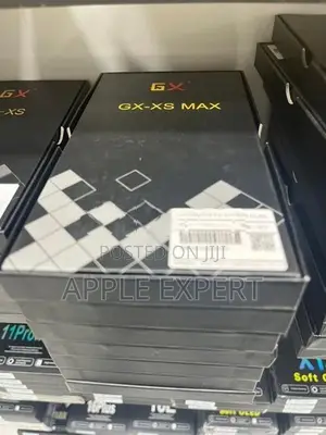 iPhone XS Max GX display
