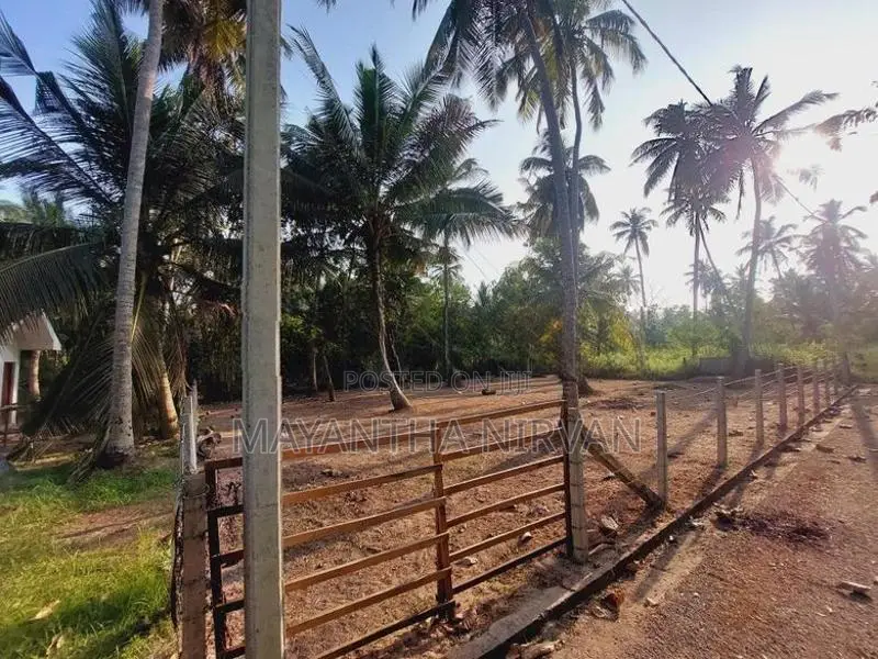 වෙන්නප්පුව , දංකොටුව නගර වලට නුදුරින් පර්චස් 20 ක මෙම ඉඩම විකිනීමට ඇත.