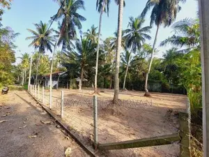 වෙන්නප්පුව , දංකොටුව නගර වලට නුදුරින් පර්චස් 20 ක මෙම ඉඩම විකිනීමට ඇත.