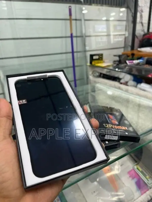 iPhone 12 Pro Max DD Display